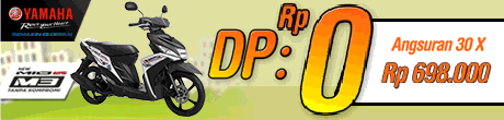 dp-01